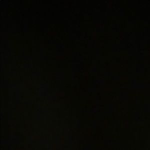 Meet your Posher, Danicia